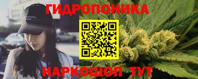 гашик Донецк