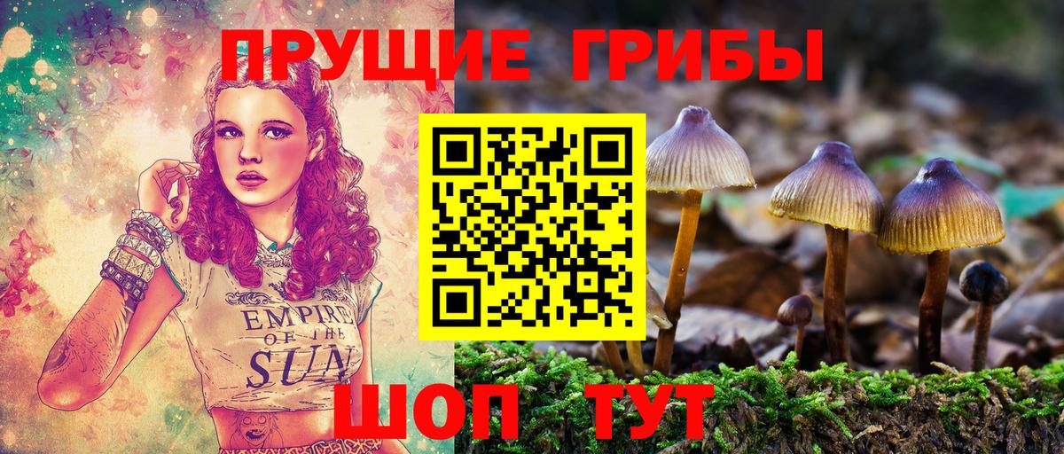 Псилоцибиновые грибы прущие грибы Набережные Челны